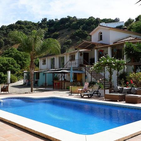 Vegan Guesthouse Finca Pereila Coín Esterno foto