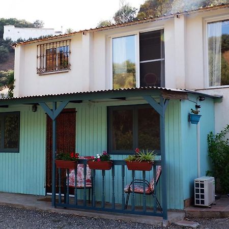 Vegan Guesthouse Finca Pereila Coín Esterno foto