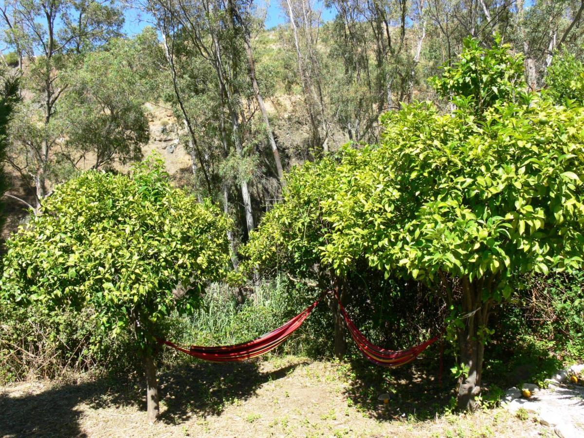 Vegan Guesthouse Finca Pereila Coín Esterno foto