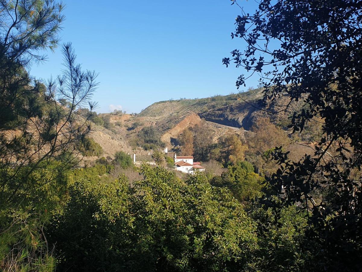 Vegan Guesthouse Finca Pereila Coín Esterno foto